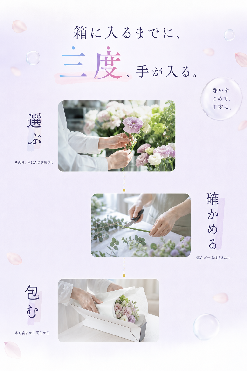 箱に入るまでに、三度、手が入る。選ぶ／確かめる／包む